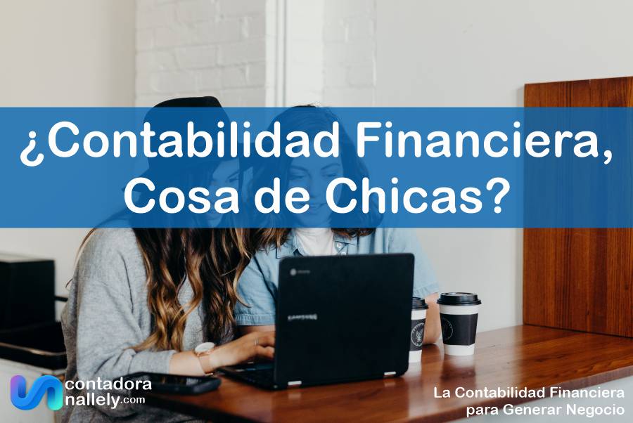 IMAGEN ContadoraNallely com - Es la Contabilidad Financiera Cosa de Chicas - 02